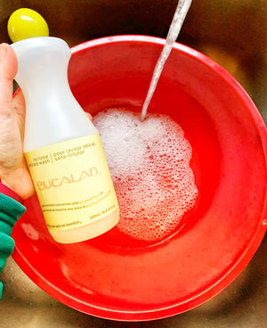 Eucalan No-Rinse wash and water in a bowl about to wash items